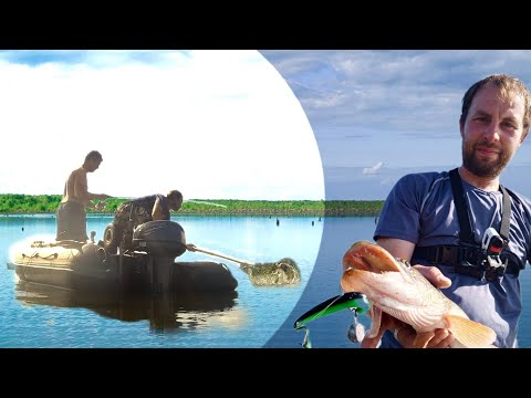 Видео: Нашли новую заводь.Рыбалка на джиг,вертушки и колебалки.