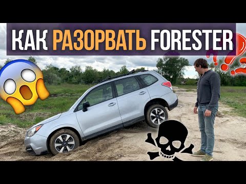 Видео: Как разорвать Subaru FORESTER, если вам всё пофиг?