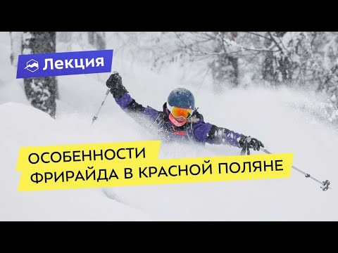 Видео: Особенности фрирайда в Красной Поляне