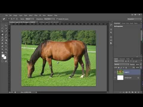 Видео: Photoshop CS6: Инструмент Remix Tool