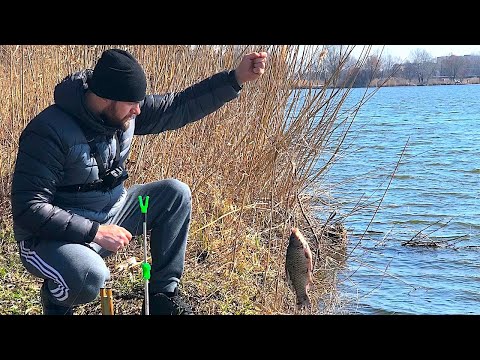 Видео: КИЛОГРАММОВЫЕ КАРАСИ КЛЮЮТ НА РЕЗИНКУ И ЧЕСНОК!!!