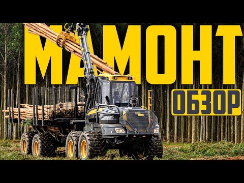 Видео: ПЕРВЫЙ ОБЗОР "Ponsse" Mammoth на русском языке #лесозаготовка #харвестер #форвардер #logging #ponsse