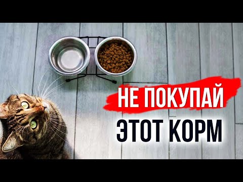 Видео: Как за 5 секунд отличить хороший корм для кошек от плохого