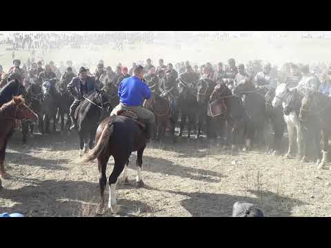 Видео: Ала Бука Баймак айылы Маралбектин элге Улагы.