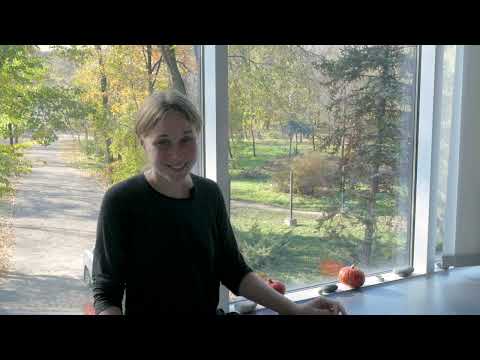 Видео: Чек лист при выборе поющей чаши (дополнение). Запись интенсива 2019 год