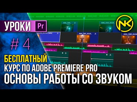 Видео: Продолжаем БЕСПЛАТНЫЙ Курс по Adobe Premiere Pro | Работа с аудио эффектами и звуком