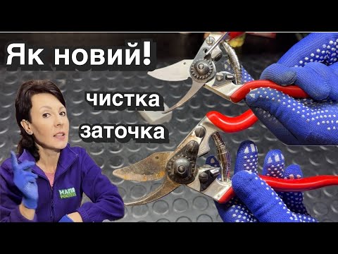 Видео: Як почистити від іржі секатор? Як заточити секатор?