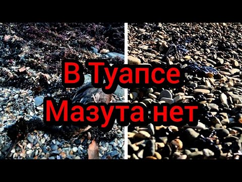 Видео: #Анапа #где мазут # мазут в Туапсе 