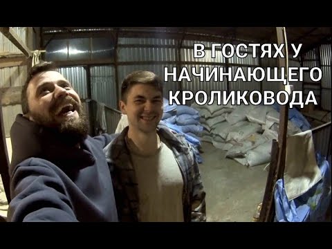 Видео: В гостях у начинающего кроликовода