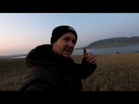 Видео: Рыбалка в Караганде! Семизбуга!