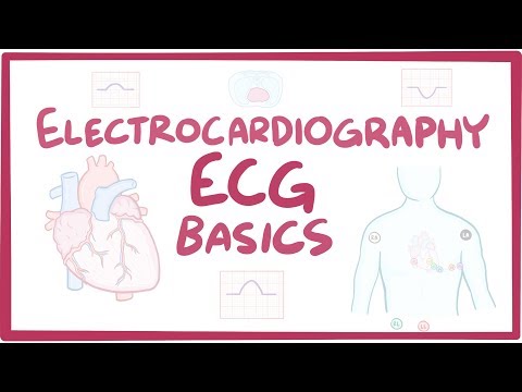 Видео: Электрокардиография (ЭКГ / ЭКГ) - основы