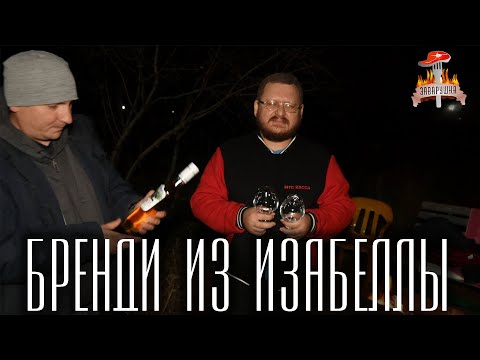 Видео: Бренди из изабеллы