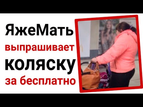 Видео: Яжемать выпрашивает коляску за бесплатно
