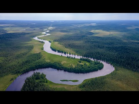 Видео: река Суна. Гимолы - Гирвас. Карелия 2022.