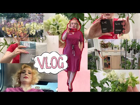 Видео: VLOG//ДЕНЬ СО МНОЙ:  50 бугенвиллий🌺,  магазины🏬 , распаковки покупок🛍️, приключения с тюлем и др.