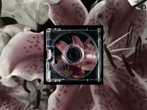 Видео: Музыка для флешмоба #flash #music #remix #fyp 
