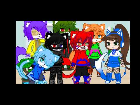 Видео: Жизнь за кадром разноцветные коты ☆