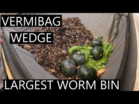 Видео: Мой самый большой контейнер для хранения червей - Vermiopolis Wegis - Vermi bag Wedge