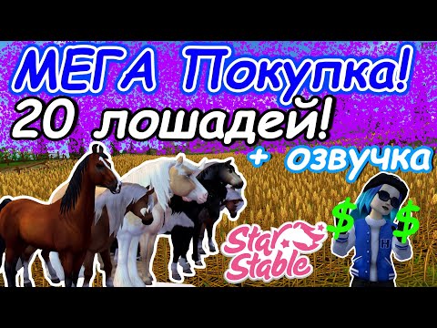 Видео: МЕГА Покупка! | 20 Лошадей! | Star Stable