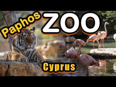 Видео: Зоопарк Пафоса Что посмотреть на Кипре? #кипр #пафос #зоопарк