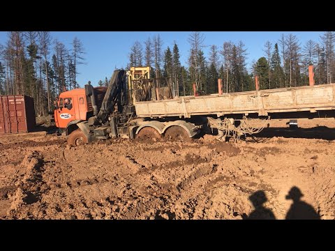 Видео: Засадили камаз на брюхо, брошенная буровая и дикий бурый медведь, приключения