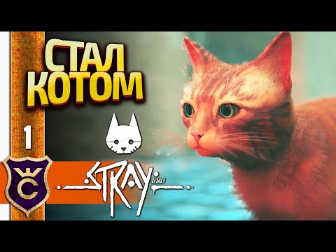 Видео: ИГРА ГОДА СИМУЛЯТОР КОТА! Stray #1