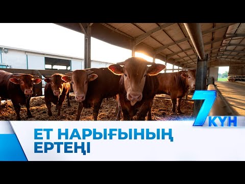 Видео: Экспортқа шектеу қойылды, елде ет жеткілікті ме?