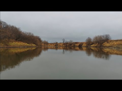 Видео: ОСЕННИЙ ЖОР! ТАКАЯ РЫБАЛКА БЫВАЕТ РАЗ В ГОДУ!