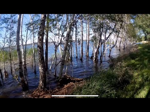 Видео: Почему мы не попали в Бурабай/Боровое.