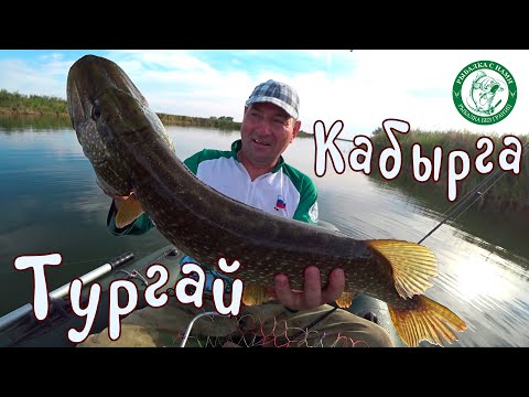 Видео: КРУПНАЯ ЩУКА, ОКУНЬ НА РЕКЕ КАБЫРГА! РЫБАЛКА В ТУРГАЕ, ТРЕТИЙ ДЕНЬ НАШЕЙ ЭКСПЕДИЦИИ, ВЕЧЕРНИЙ БОНУС!