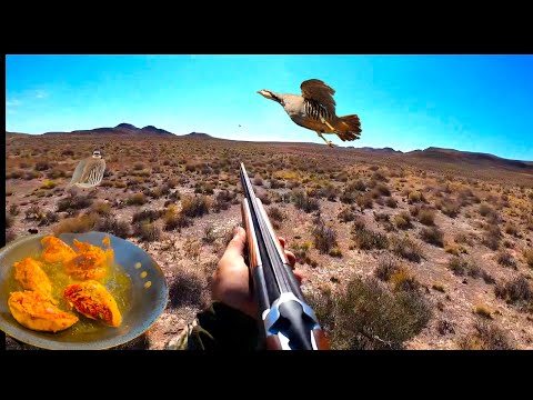 Видео: Эпическая охота и приготовление пищи на чукарах в Западной пустыне | 410 ружей, собаки, тако и се...