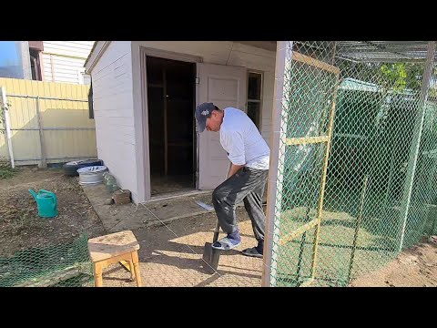 Видео: Ейск♥️Юра строит вольер для кур...