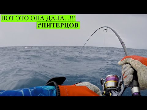 Видео: Морская рыбалка на Сейшелах. Ловля с берега и в открытом море.
