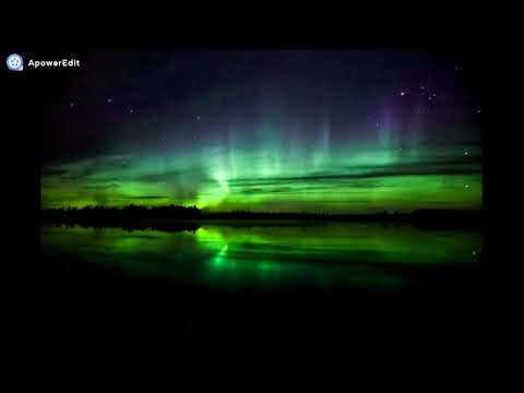 Видео: Прошу пойми-Прошу пойми