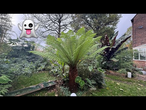 Видео: Экскурсия по саду Хэллоуина (2025)