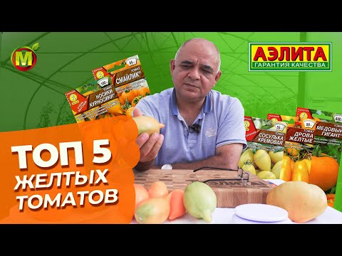 Видео: ТОП 5 ЖЕЛТЫХ ТОМАТОВ. Хиты от Агрофирмы Аэлита!
