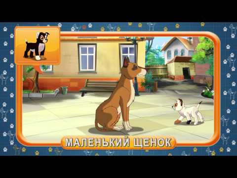 Видео: Мультипедия домашних питомцев. Собака