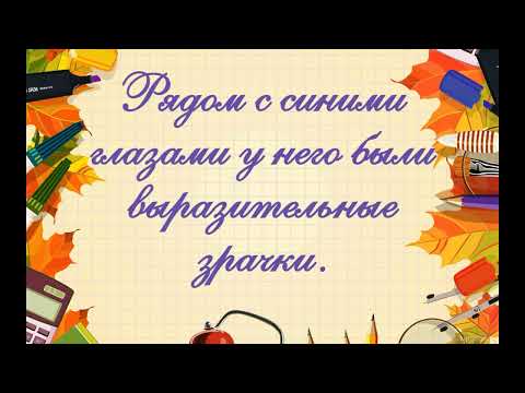 Видео: Перлы из школьных сочинений. Сборник №9
