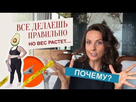 Видео: Все делаешь правильно, но вес растёт. Почему?