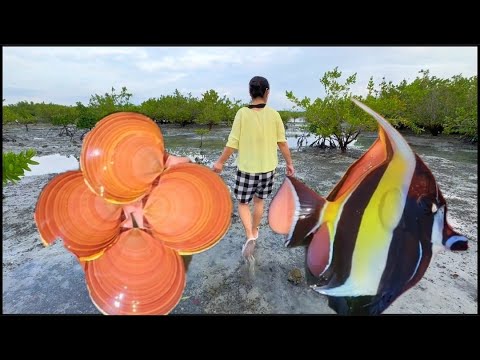 Видео: Особые жемчужные гребешки. Выращиваются 20 лет. Кристальный пляж. Множество хрустальных шаров.