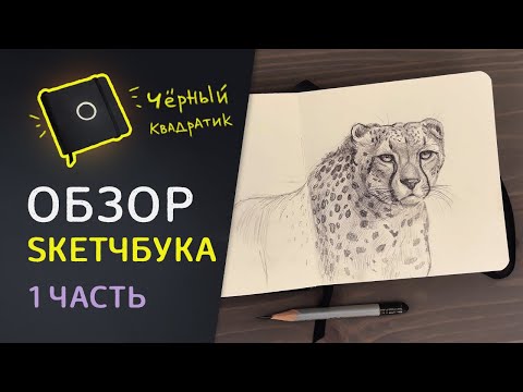 Видео: ОБЗОР СКЕТЧБУКА // Который трепал мои нервы 2 года!