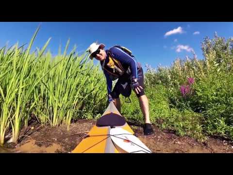 Видео: Путешествие на каяке из Костромского водохранилища (Волга) в заповедную реку Вопшу.