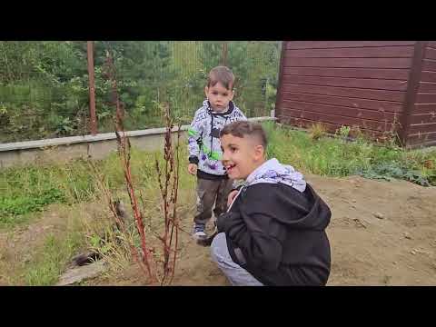 Видео: В зоопитомнике на Белокурихе 2