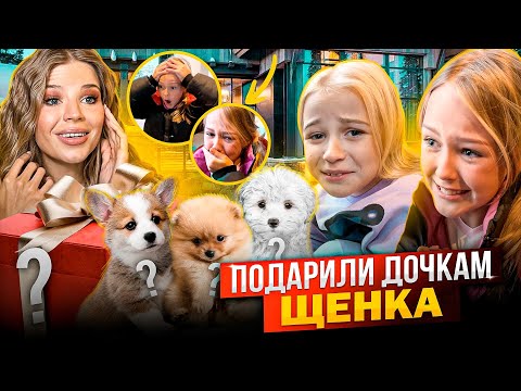 Видео: ПОДАРИЛИ ДОЧКАМ ЩЕНКА ! ТАКОЙ РЕАКЦИИ Я не ОЖИДАЛА !