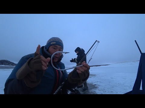 Видео: СЕРЬЁЗНАЯ РЫБАЛКА С СЕРЬЁЗНЫМИ РЫБАКАМИ АРКТИКИ!