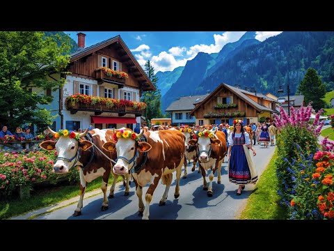 Видео: Самая красивая деревня Швейцарии _ Лаутербруннен🇨🇭Швейцарская корова возвращается домой из Альп