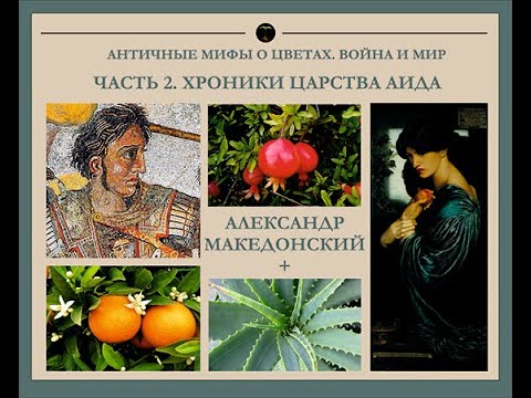 Видео: ЦВЕТОЧНЫЕ ПОХОДЫ АЛЕКСАНДРА МАКЕДОНСКОГО. ЦВЕТЫ-СИМВОЛЫ ИЗ ПОДЗЕМНОГО ЦАРСТВА АИДА.