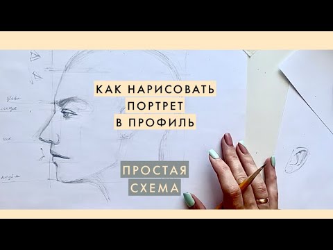 Видео: Как нарисовать портрет в профиль. Простая схема. Основные пропорции