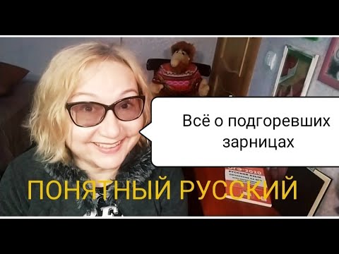 Видео: Правописание -ГОР-/-ГАР- -ЗАР-/-ЗОР- ПОНЯТНЫЙ РУССКИЙ