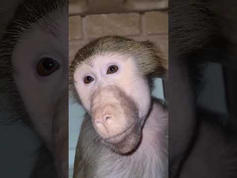 Видео: Дверь  закрой! 🤣🤣🤣 ага.....